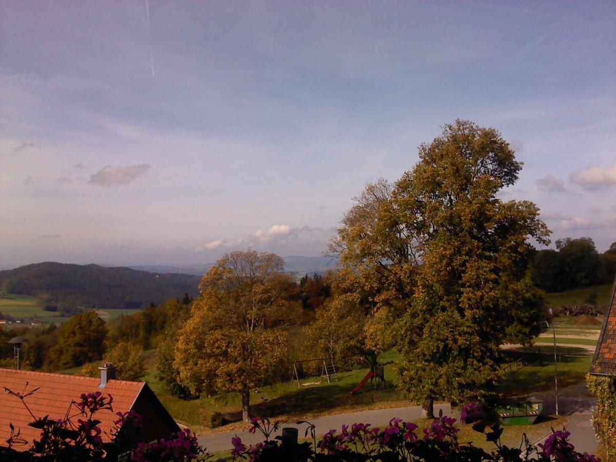 Ferienwohnung Schoenblick Waldmünchen Exterior foto